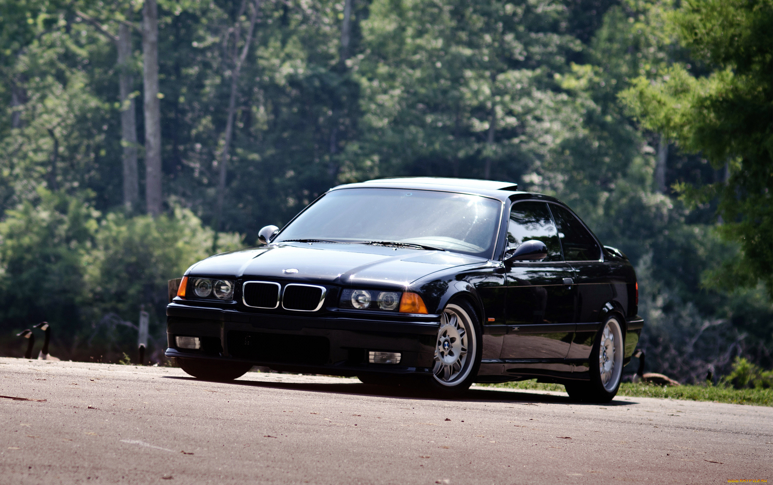 , bmw